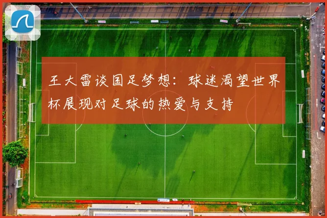 王大雷谈国足梦想：球迷渴望世界杯展现对足球的热爱与支持