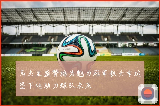 乌杰里盛赞梅为魅力冠军教头幸运签下他助力球队未来