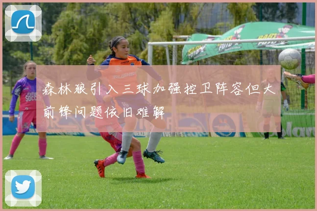 森林狼引入三球加强控卫阵容但大前锋问题依旧难解